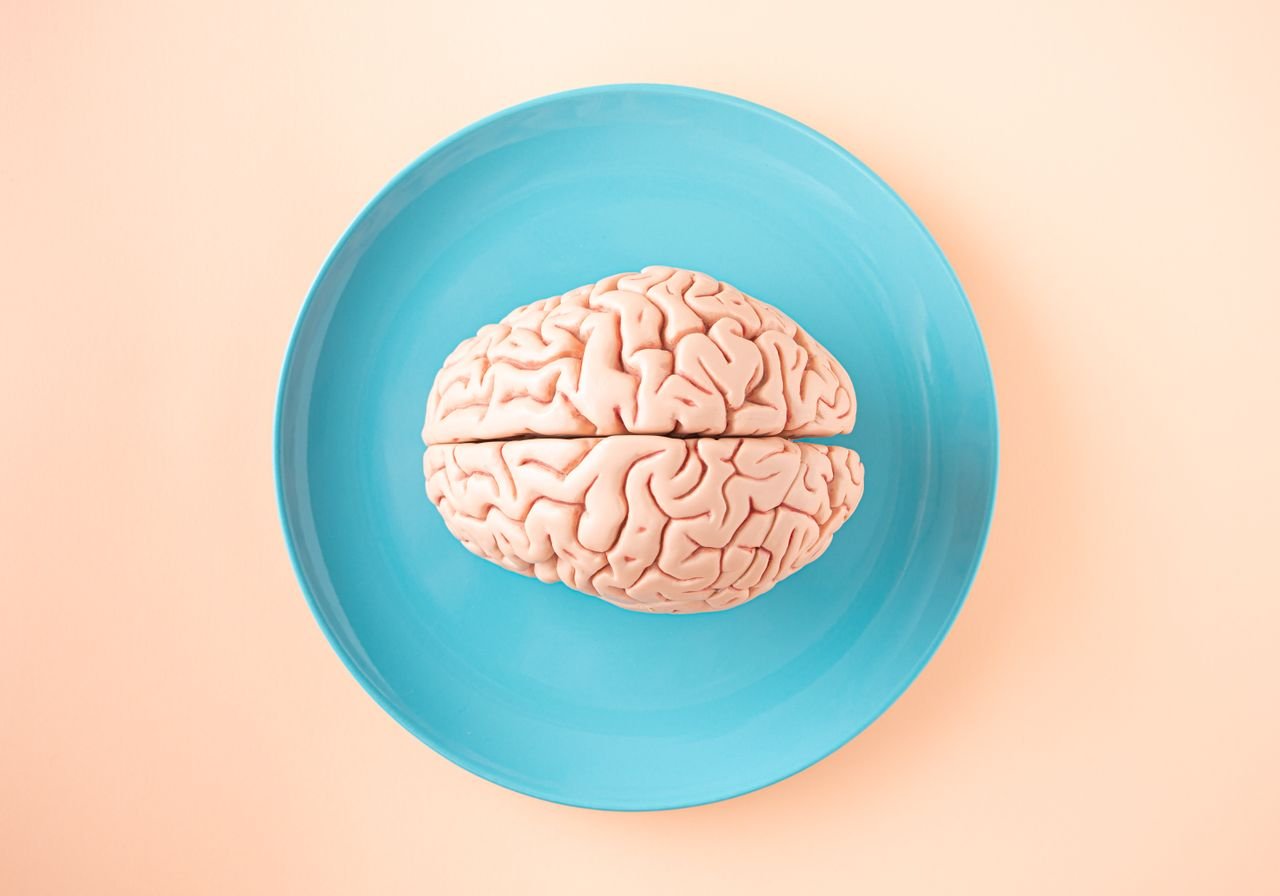Services A human brain model placed on a blue plate, viewed from above against a pastel background.
